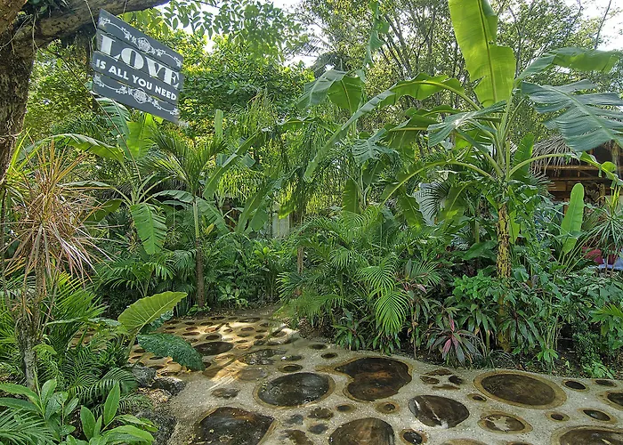Hotel Ocho Artisan