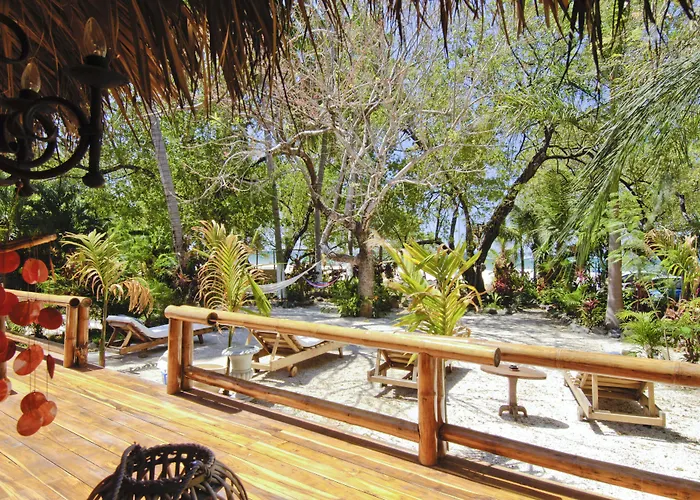 Ocho Artisan Tamarindo