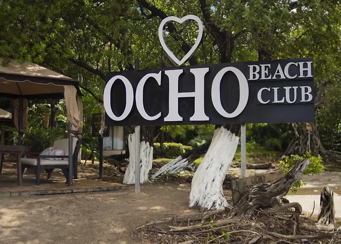 Ocho Artisan